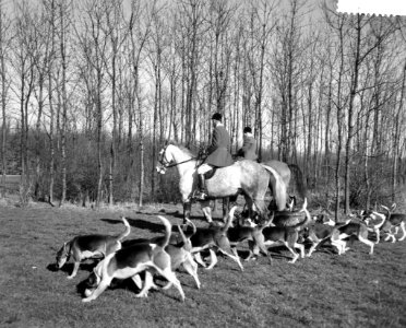 Slipjacht in het Amsterdamse bos, Bestanddeelnr 911-0690