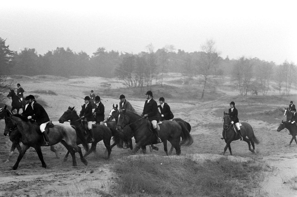 Slipjacht van St Hubertus (paardensport) in bossen Udenhout, honden voor begin , Bestanddeelnr 925-1619