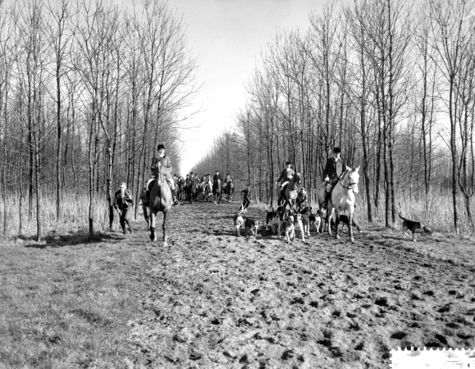 Slipjacht in het Amsterdamse bos, rechts de jagermeester Modderman, Bestanddeelnr 911-0691