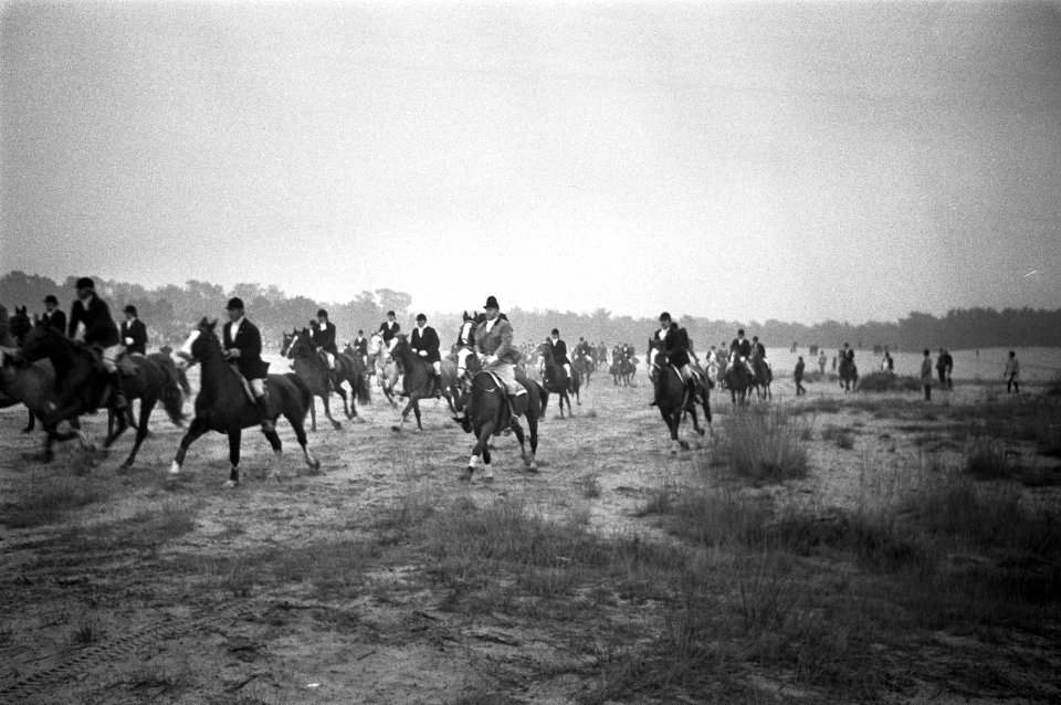 Slipjacht van St Hubertus (paardensport) in bossen Udenhout, honden voor begin , Bestanddeelnr 925-1620