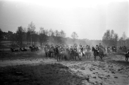 Slipjacht van St Hubertus (paardensport) in bossen Udenhout, honden voor begin , Bestanddeelnr 925-1622