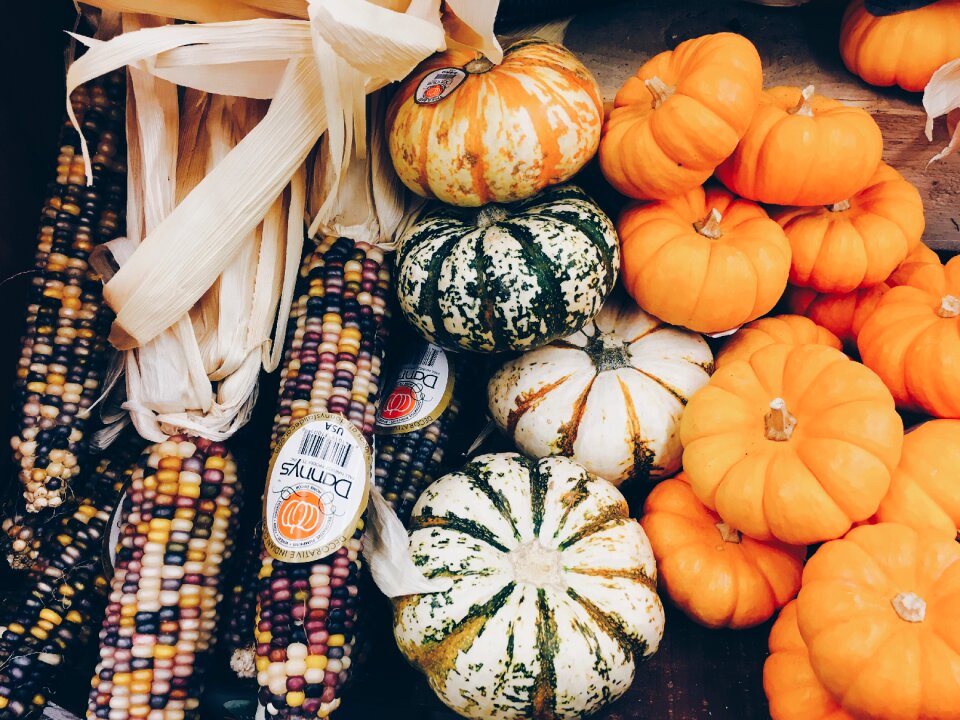 Pumpkins squash vegetable