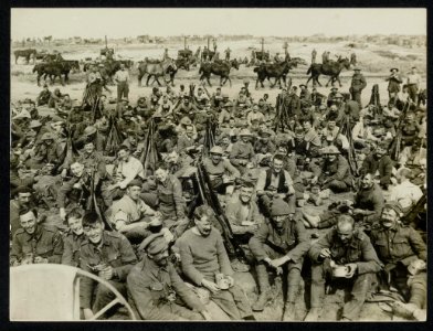 Some of the Leicesters resting, Bestanddeelnr 158-0446