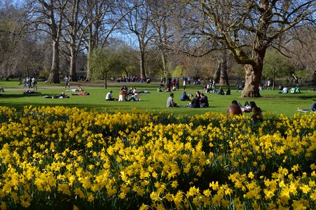 Park uk travel