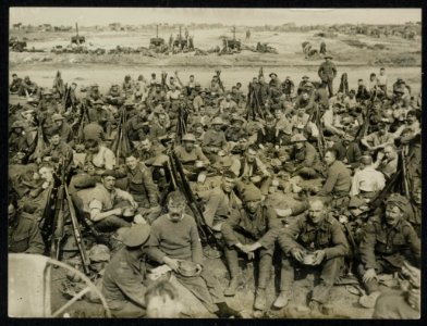 Some of the Leicesters resting, Bestanddeelnr 158-0440