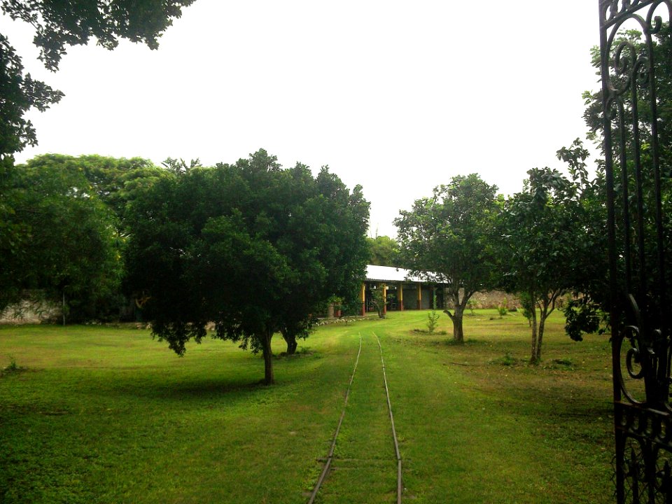 Sotuta de Peón, Yucatán (11)