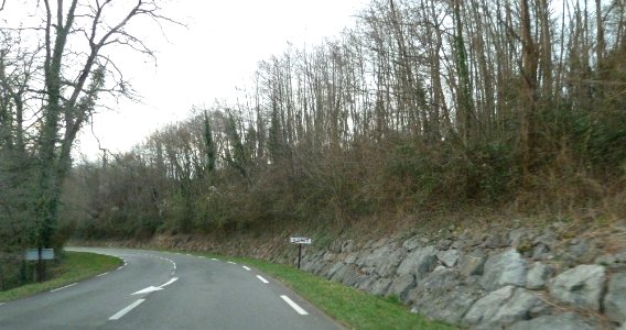 Sortie de Vignes (Pyrénées-Atlantiques)