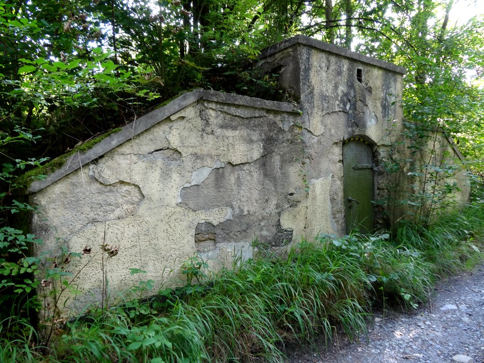 Something in Limbach (Probstzella)