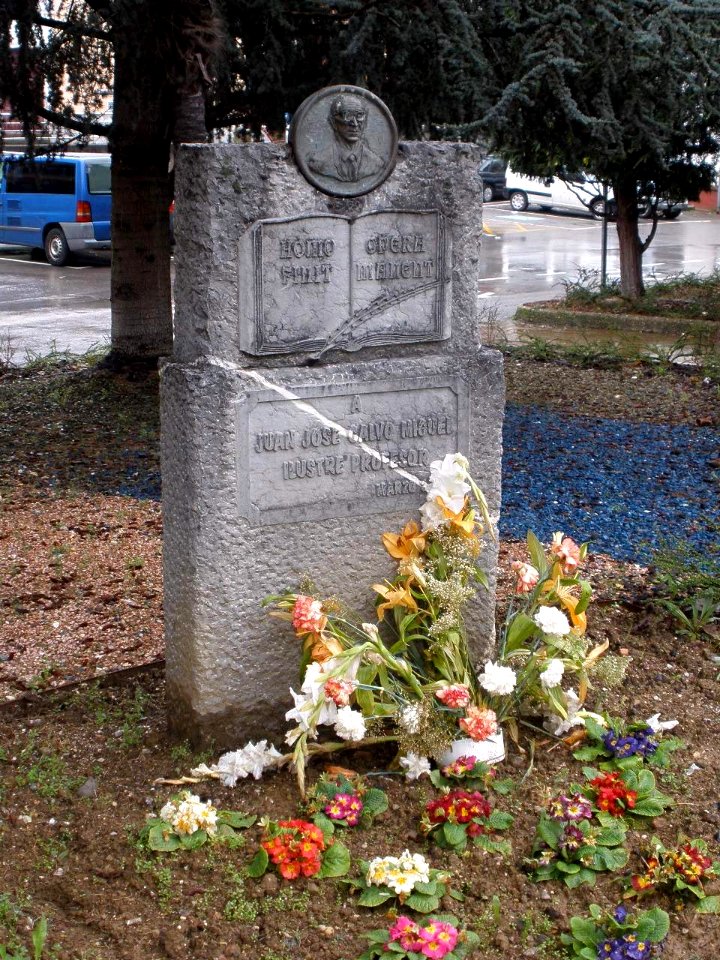 Sotrondio (San Martín del Rey Aurelio) 07