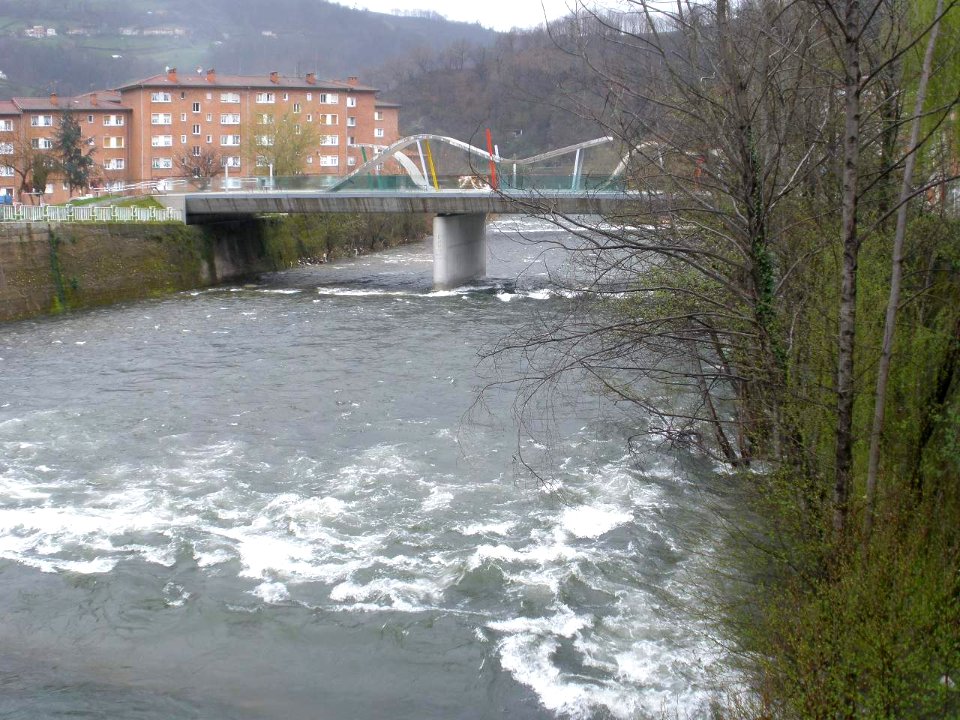 Sotrondio (San Martín del Rey Aurelio) - Río Nalón 1