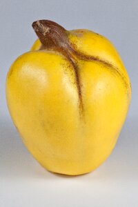 Pome fruit fruit quince fruit