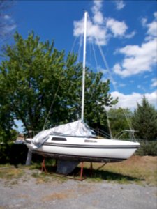 Sonic 23 Windswept 3578