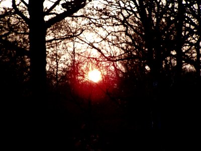 Soleil En Fin D Après Midi (64855161)