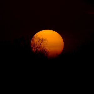Sonnenuntergang.Saharastaub.P1024932