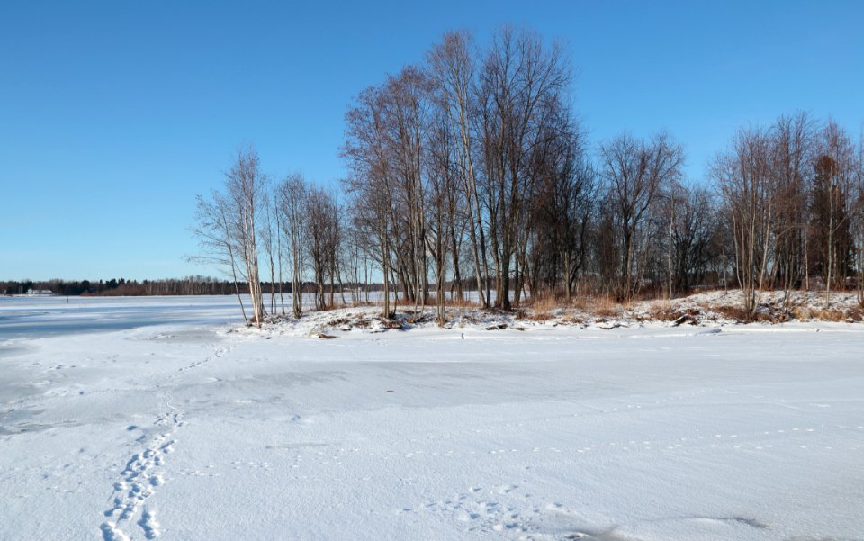 Sonnisaari Oulu 20200229