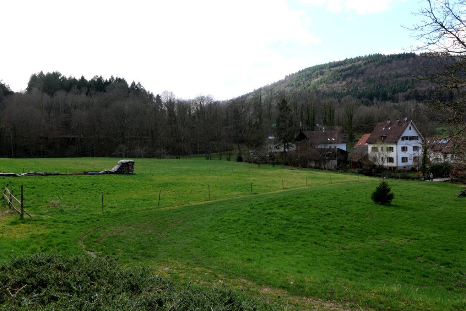 South end of Geroldsau 2020-03-13 05