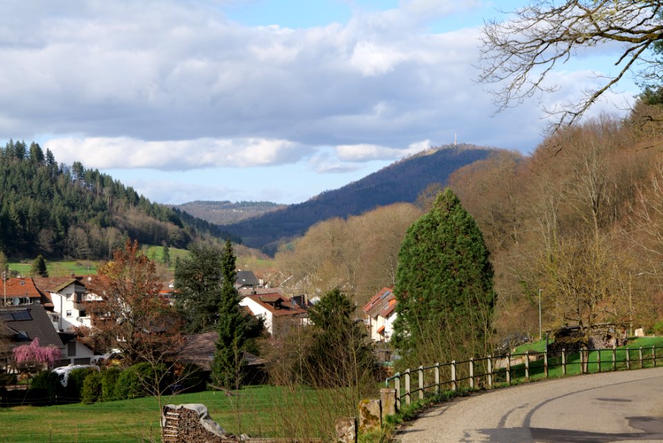 South end of Geroldsau 2020-03-13 01