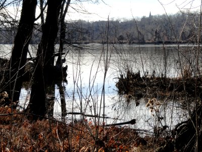 South Hadley Canal - Hadley Falls Canal Park - DSC04451