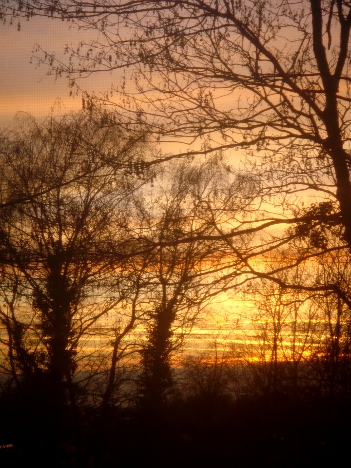 Sonnenuntergang-rs17-orange-2