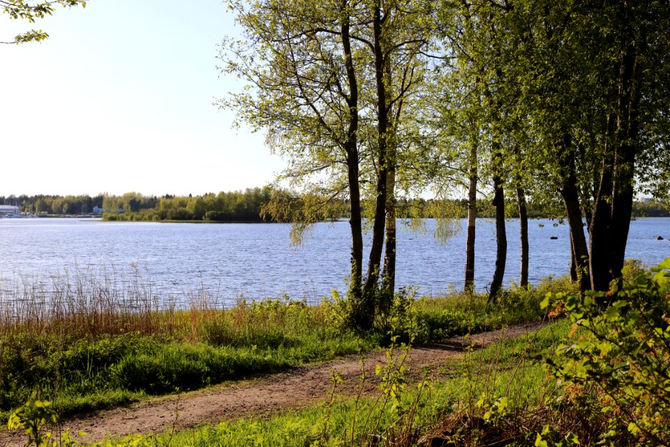 Sonnisaari Oulu 20200601