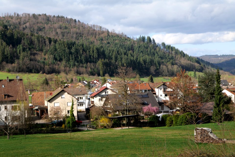 South end of Geroldsau 2020-03-13 02