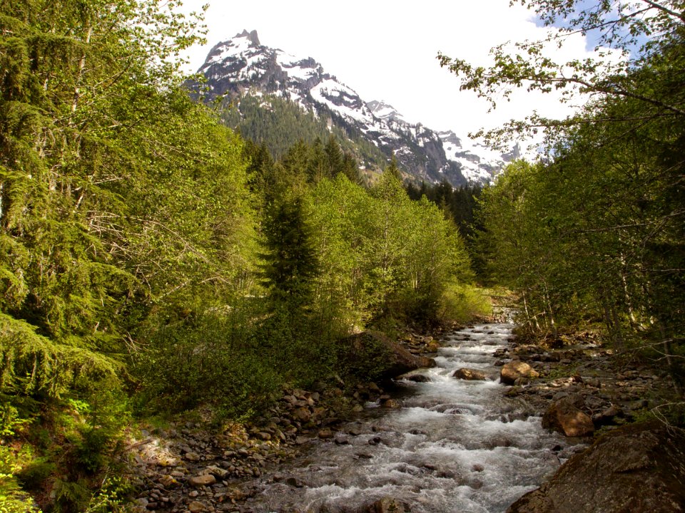 South fork Sauk River at Monte Cristo 2014-05-31