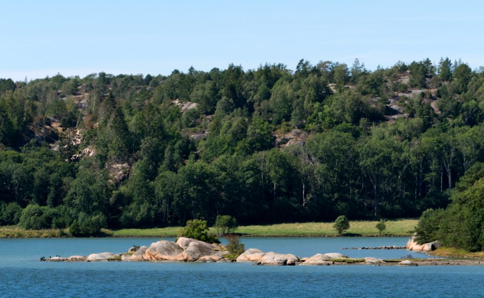 South part of Broälven nature reserve 2