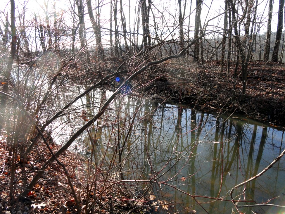 South Hadley Canal - Hadley Falls Canal Park - DSC04455