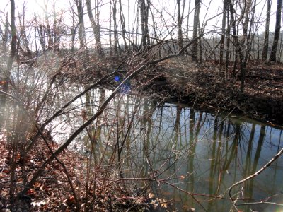 South Hadley Canal - Hadley Falls Canal Park - DSC04455