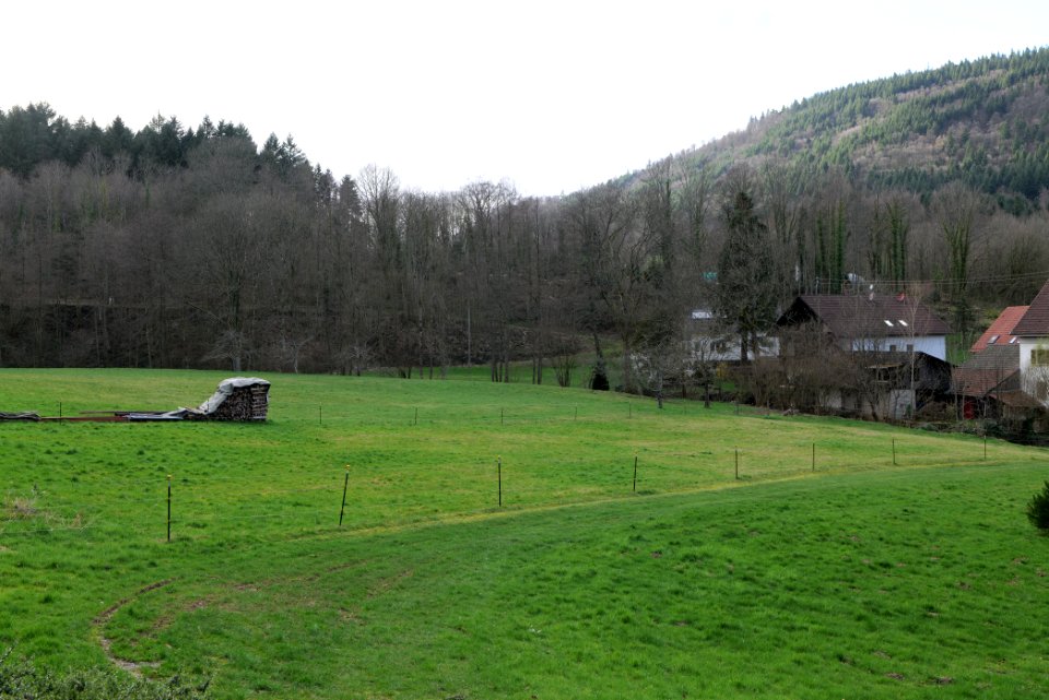 South end of Geroldsau 2020-03-13 06