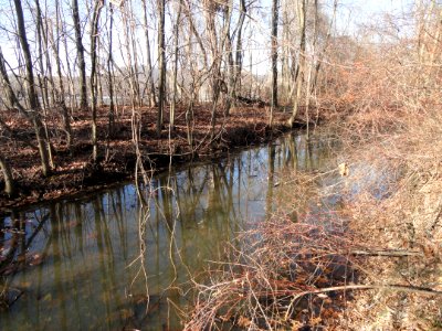 South Hadley Canal - Hadley Falls Canal Park - DSC04454