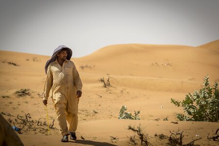 Bedouin camel hot photo