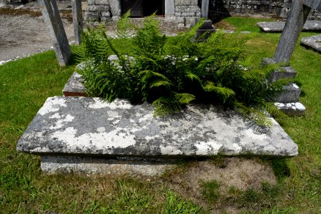 South Tawton (2021-06-30) 18