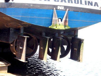 South Carolina - ENI 02332197 op de helling van Hoebee, pic2
