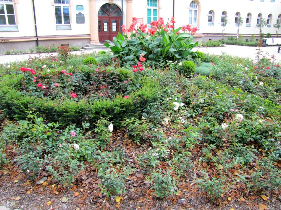 Sopot, Zakład Balneologiczny (sierpień 2010)