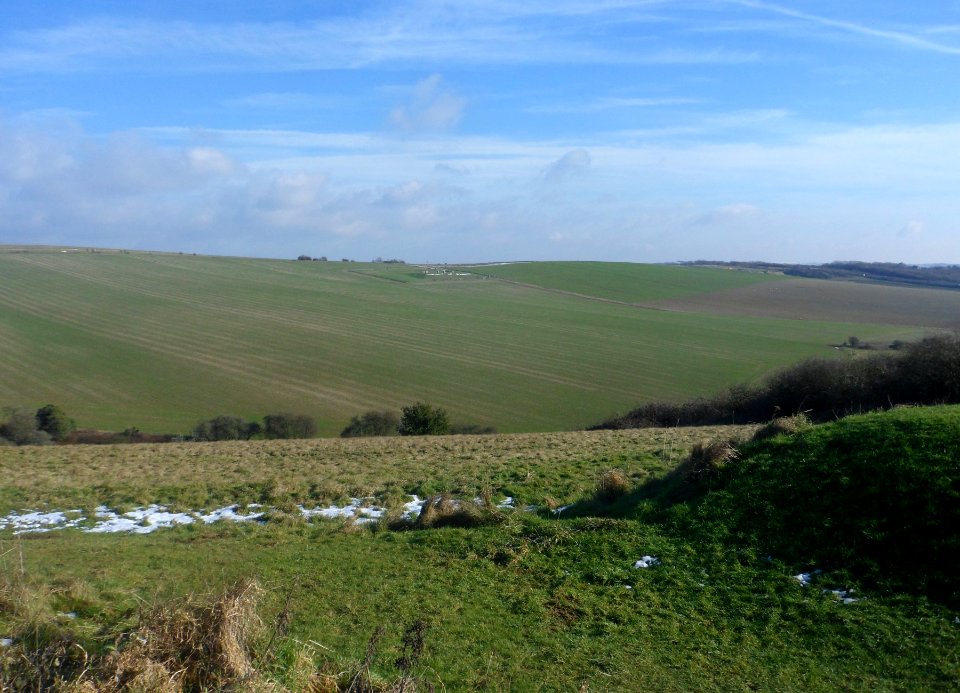 South Downs near West Hove Golf Club, Northwest of Hangleton (February 2019) (1)