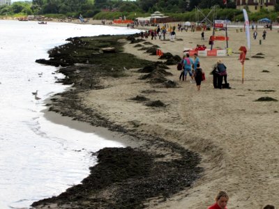 SOPOT, AB. 029