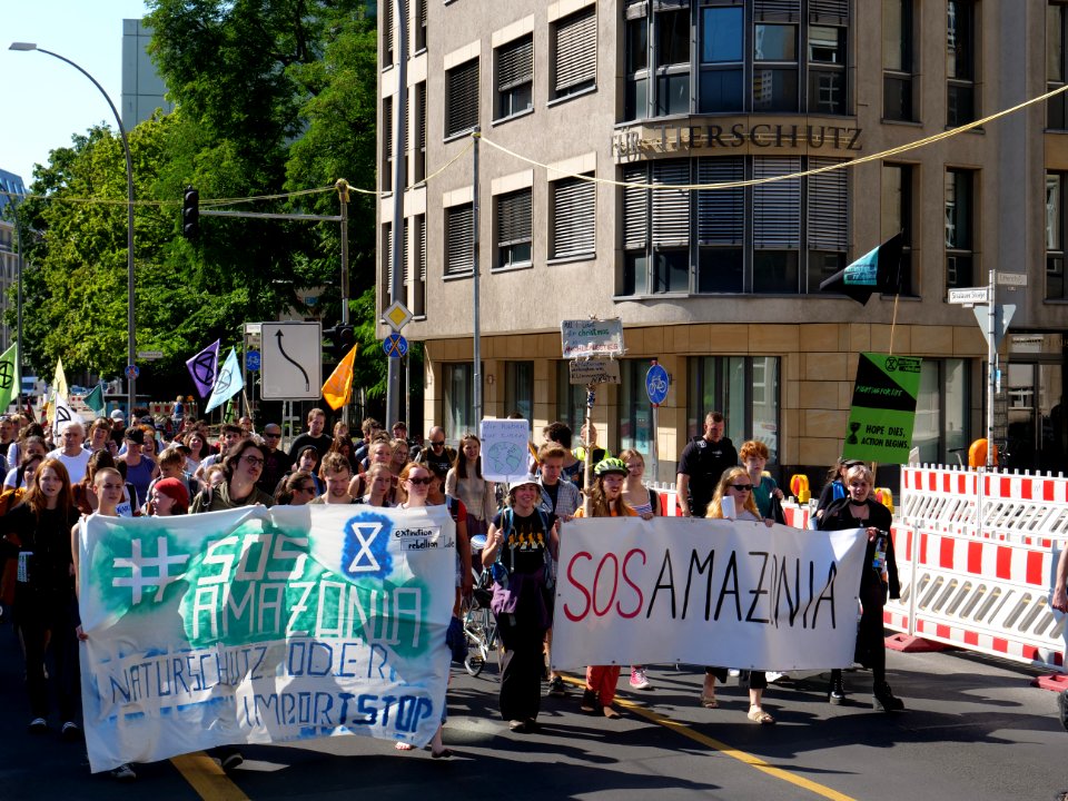 SOSAmazonia demonstration Berlin 23-08-2019 34