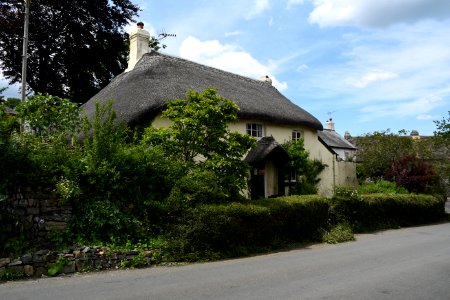 South Tawton (2021-06-30) 05