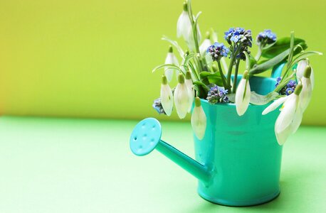 Watering can yellow green photo