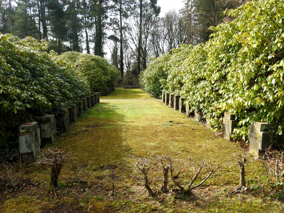 South Cemetery, Gera 29