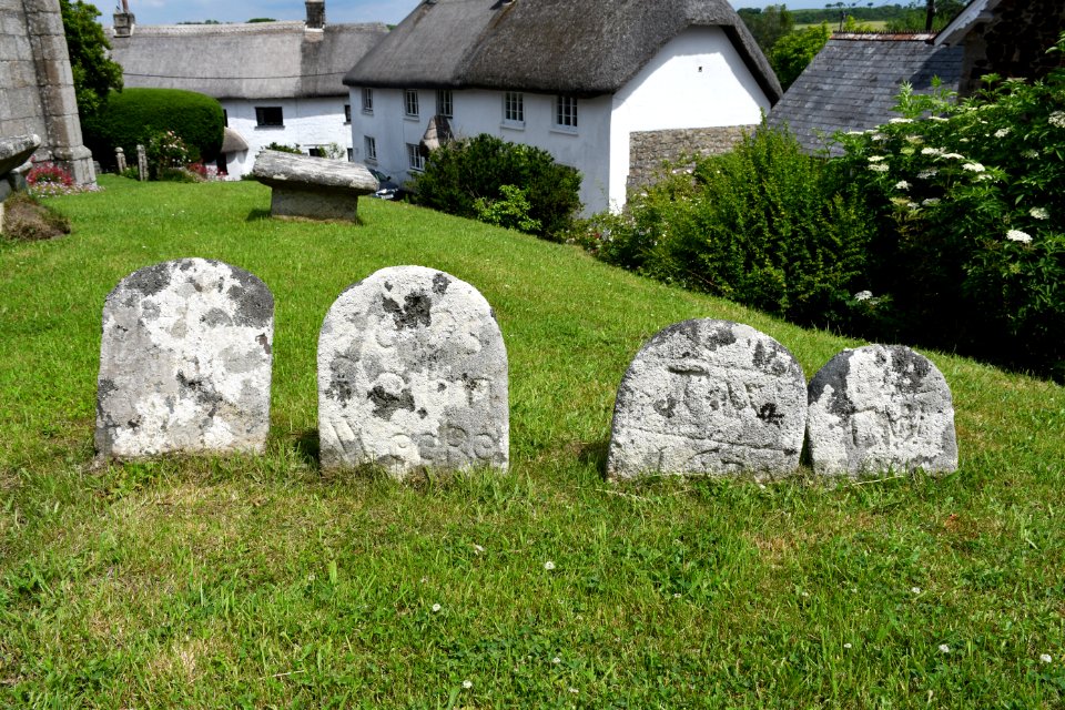 South Tawton (2021-06-30) 17