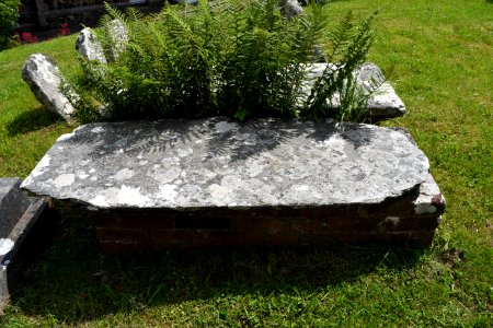 South Tawton (2021-06-30) 19