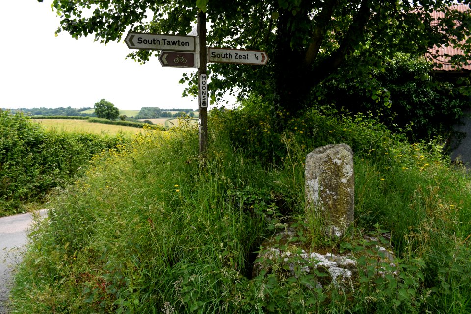 South Tawton (2021-06-30) 01