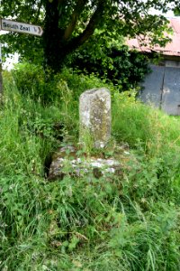 South Tawton (2021-06-30) 02