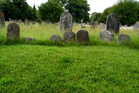 South Tawton (2021-06-30) 39