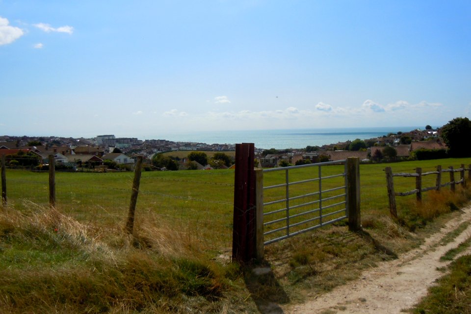 Southeastward view across Saltdean (August 2014) (5)