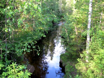 Sosinoja