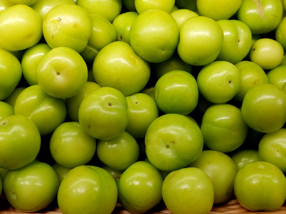 Sour plums - Boston, MA - 20180602 142934