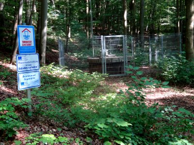 Source Ebersburg (Harz)